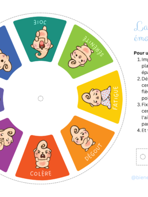 La roue des émotions